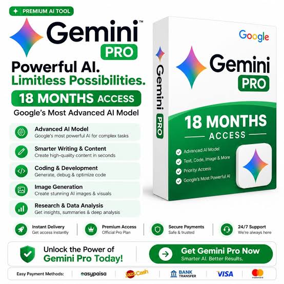 Gemini pro 18 mois